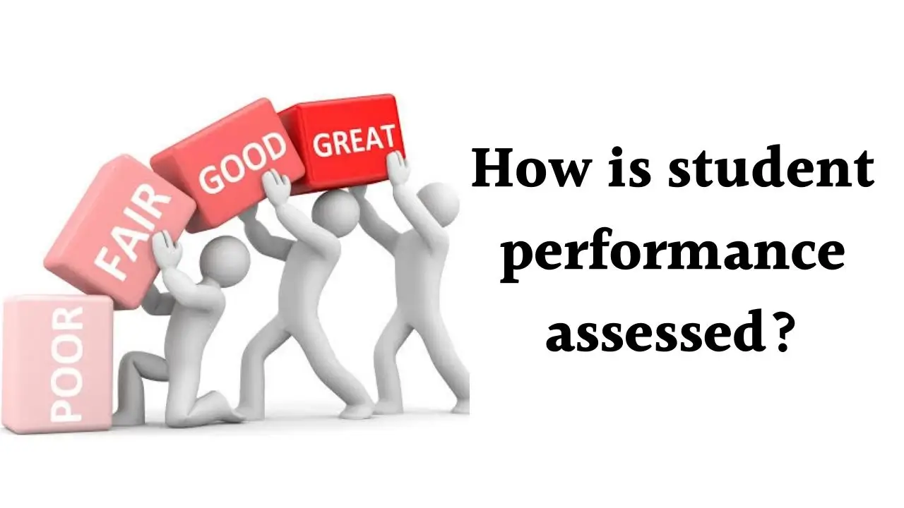 Performance assessment