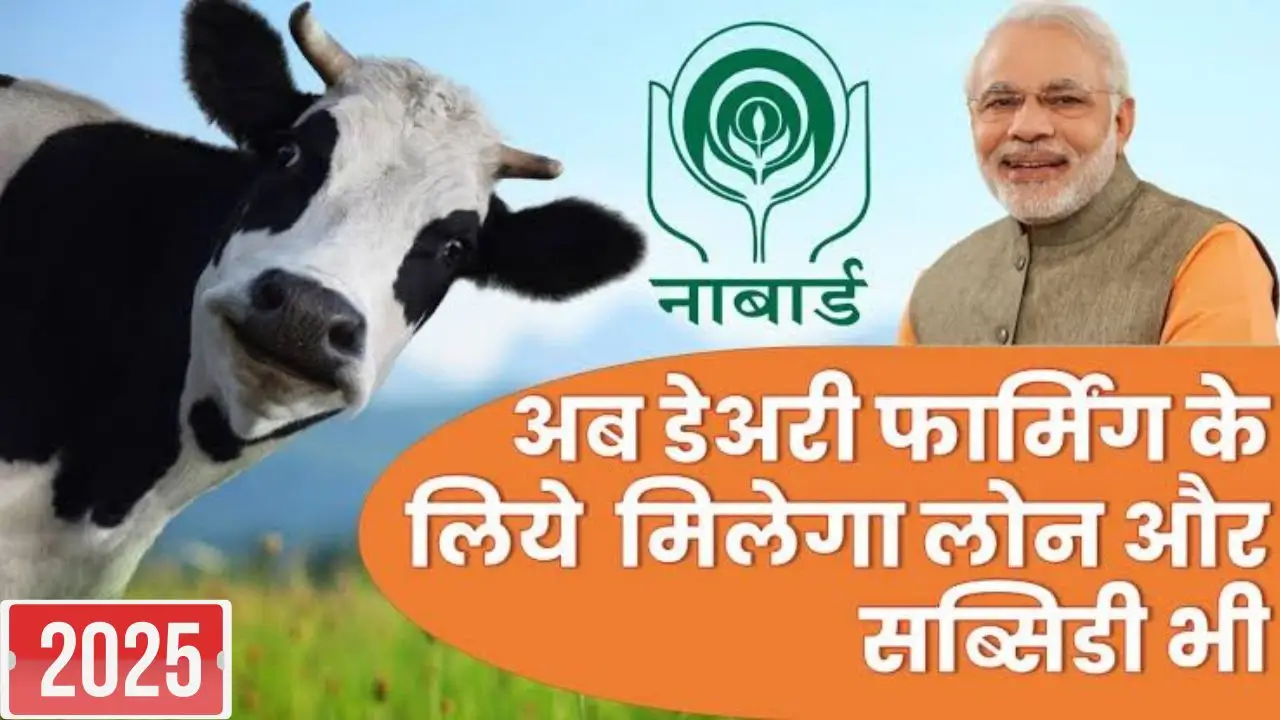 Dairy farming loan
